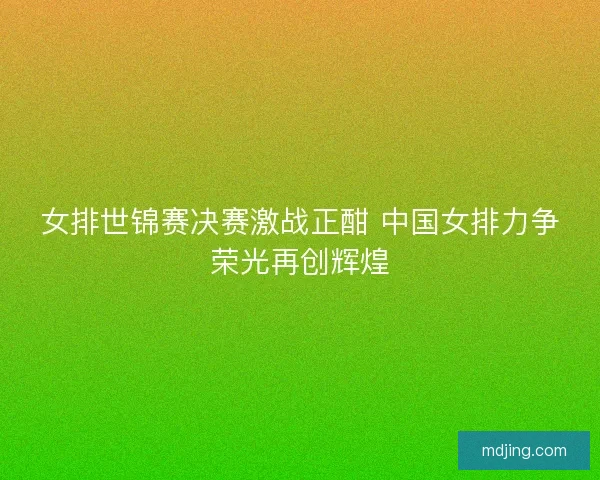 女排世锦赛决赛激战正酣 中国女排力争荣光再创辉煌 女排世锦赛决赛激战正酣 中国女排力争荣光再创辉煌